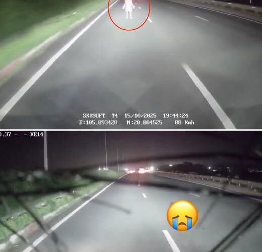 [video] Cam hành trình vụ Pháp Vân – Cầu Giẽ đoạn qua Vạn Điểm