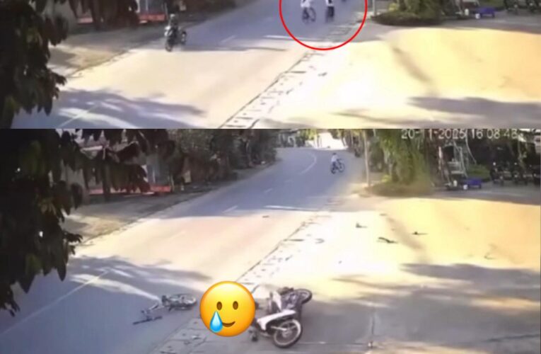 [VIDEO] Báo thủ ôm cua rồi fi vào bé gái