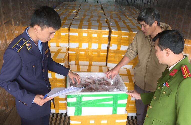 Phát hiện, thu giữ hơn 10 tấn cá khoai sử dụng chất cấm (Formol) để bảo quản