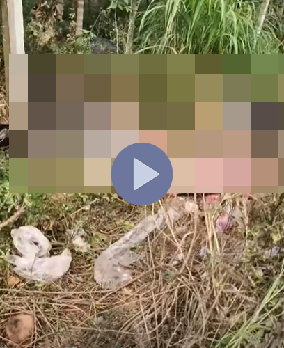 VI:DEO TOÀN CẢNH HIỆN TRƯỜNG